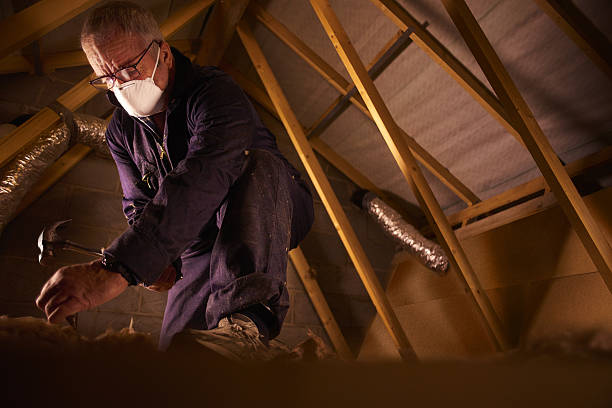 Best Specialty Insulation in Rohnert Park, CA